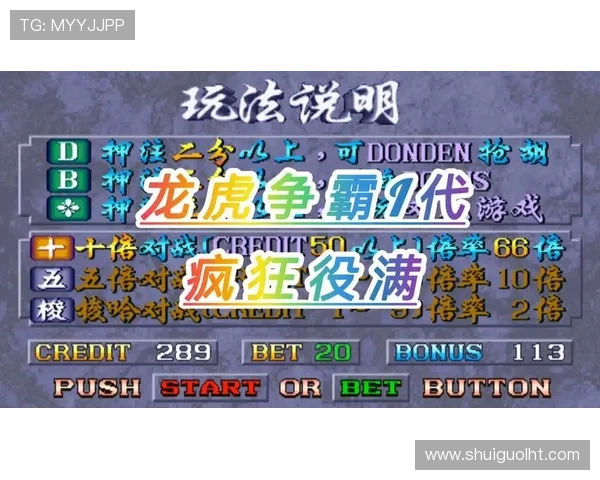 2024年度最受欢迎的单机老虎机游戏最新版本推荐 2024年度最受欢迎的单机老虎机游戏最新版本推荐