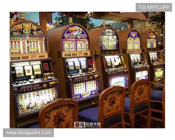 不同类型老虎机旗舰平台的比较分析及其适合的玩家群体