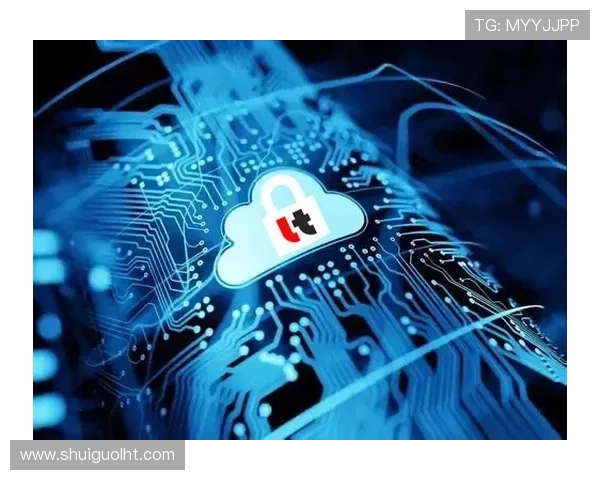 安全可靠的老虎机软件游戏平台，保障玩家资金与信息安全