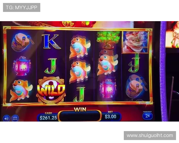 手机老虎机下载安装常见问题及解决方案,确保顺利游戏体验 手机老虎机下载安装常见问题及解决方案,确保顺利游戏体验