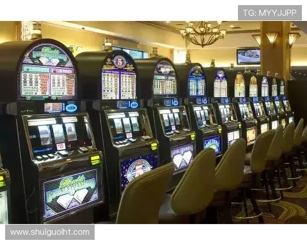 全面解析图解多福多财老虎机攻略让你轻松应对不同游戏局面赢取大奖 全面解析图解多福多财老虎机攻略让你轻松应对不同游戏局面赢取大奖