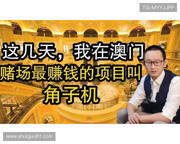 澳门角子游戏机哪里可以买到,最新市场行情与购买建议一站式指南 澳门角子游戏机哪里可以买到,最新市场行情与购买建议一站式指南